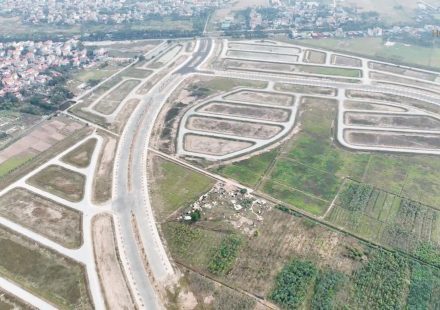 Cập nhật tiến độ tháng 1/2025