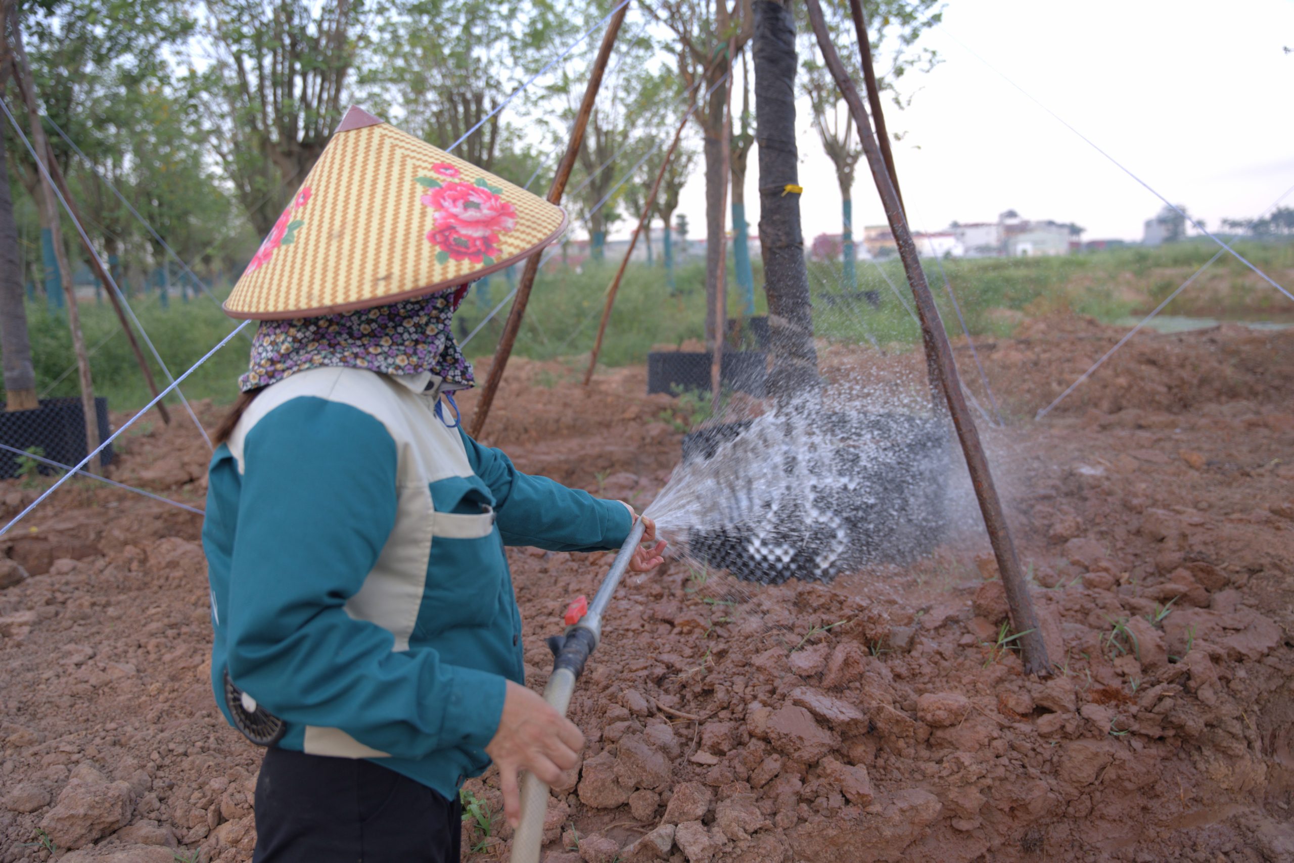 Hệ thống tưới tiêu đảm bảo nguồn nước sạch cho cây trồng